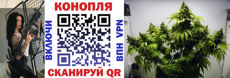 Бошки Шишки White Widow  Купить закладки  Вышний Волочёк 